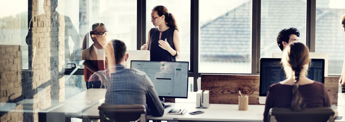 Gestionale 3Cx - Ravenna, Faenza, Imola, Forli, Cesena